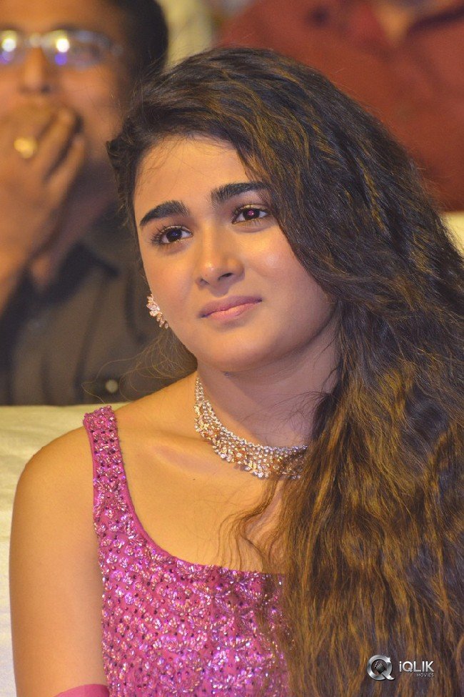 118-Movie-Pre-Release-Event-Photos